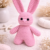 Pink Bunny