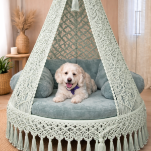 Macrame hanging swing with cushion in boho style home décor